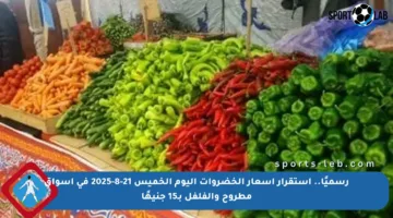 رسميًا.. استقرار أسعار الخضروات اليوم الخميس 21-8-2025 في أسواق مطروح والفلفل بـ15 جنيهًا